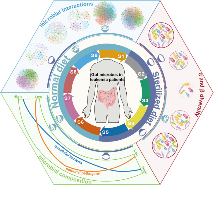 宋立岩课题组在崩溃微生物系统微生物生态研究方面取得新进展